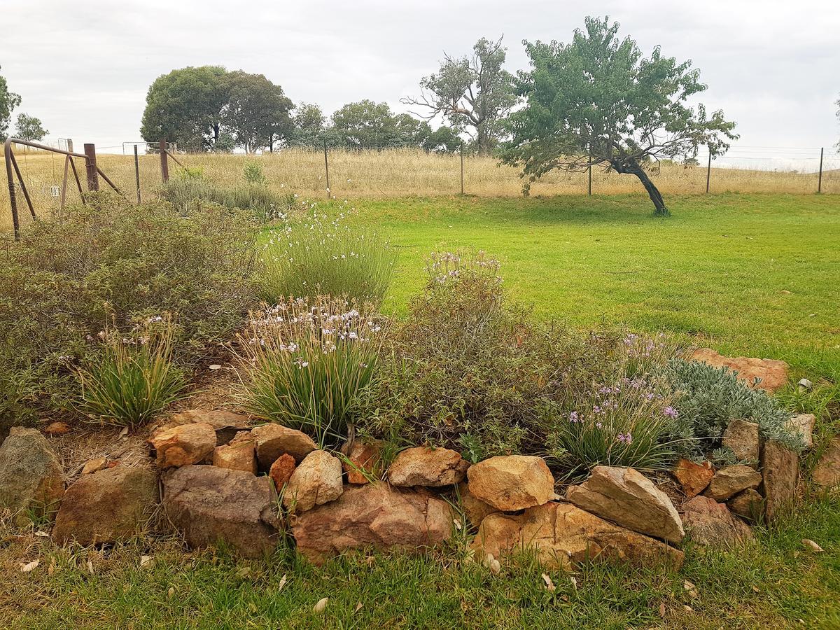 Wantana Cottage Farmstay Boorowa Exterior photo